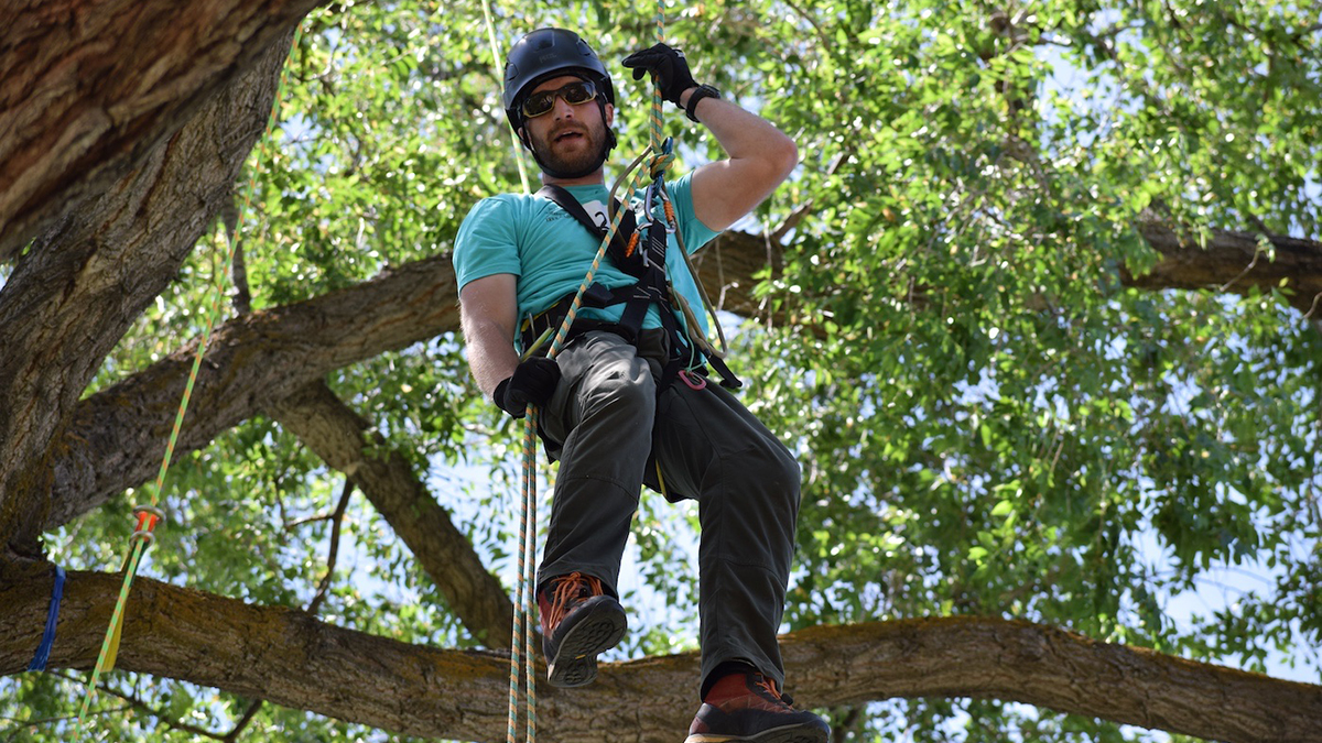 IAA Tree Climbing Championship at Shiloh Park
